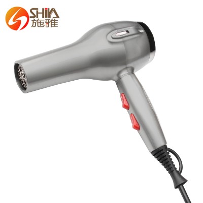 New Salon Portable Hooded Small Noise a Custom Hair Blow Dryer Professional