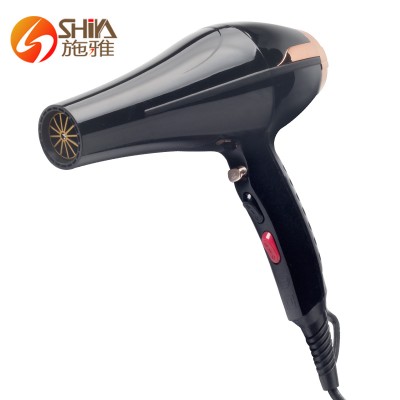 Hair Dryer Professional Salon Blow Dryer with 2 Speed and 3 Heat Setting Fast Drying Hot/Cold Hair Care Blow Styling