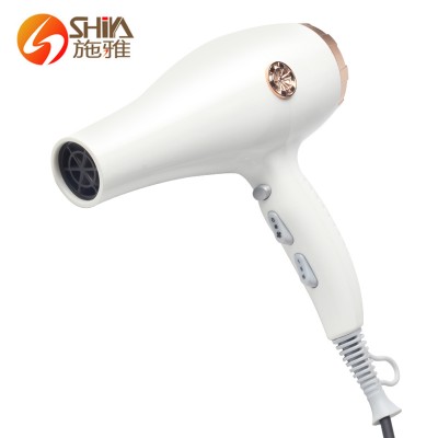 White Hear New Professional Hair Dryer Blower 2020 Machine Salon Custom For Hair With Diffuser